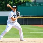 Why Hanshin Tigers Dominate Player Satisfaction: A Deep Dive into Pro Baseball’s Top Performer